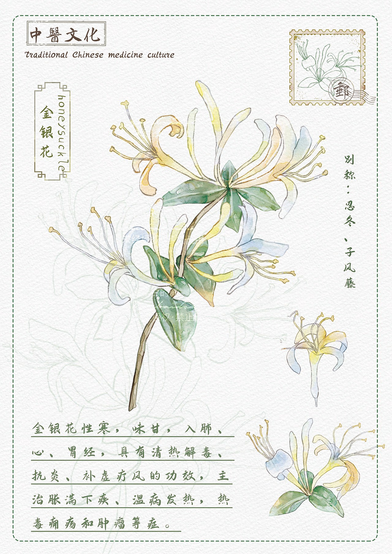 中草药插画（图ZMzYxMTYxODEy） - 商业插画 - 站酷设计师半白的画原创素材 - 站酷ZCOOL