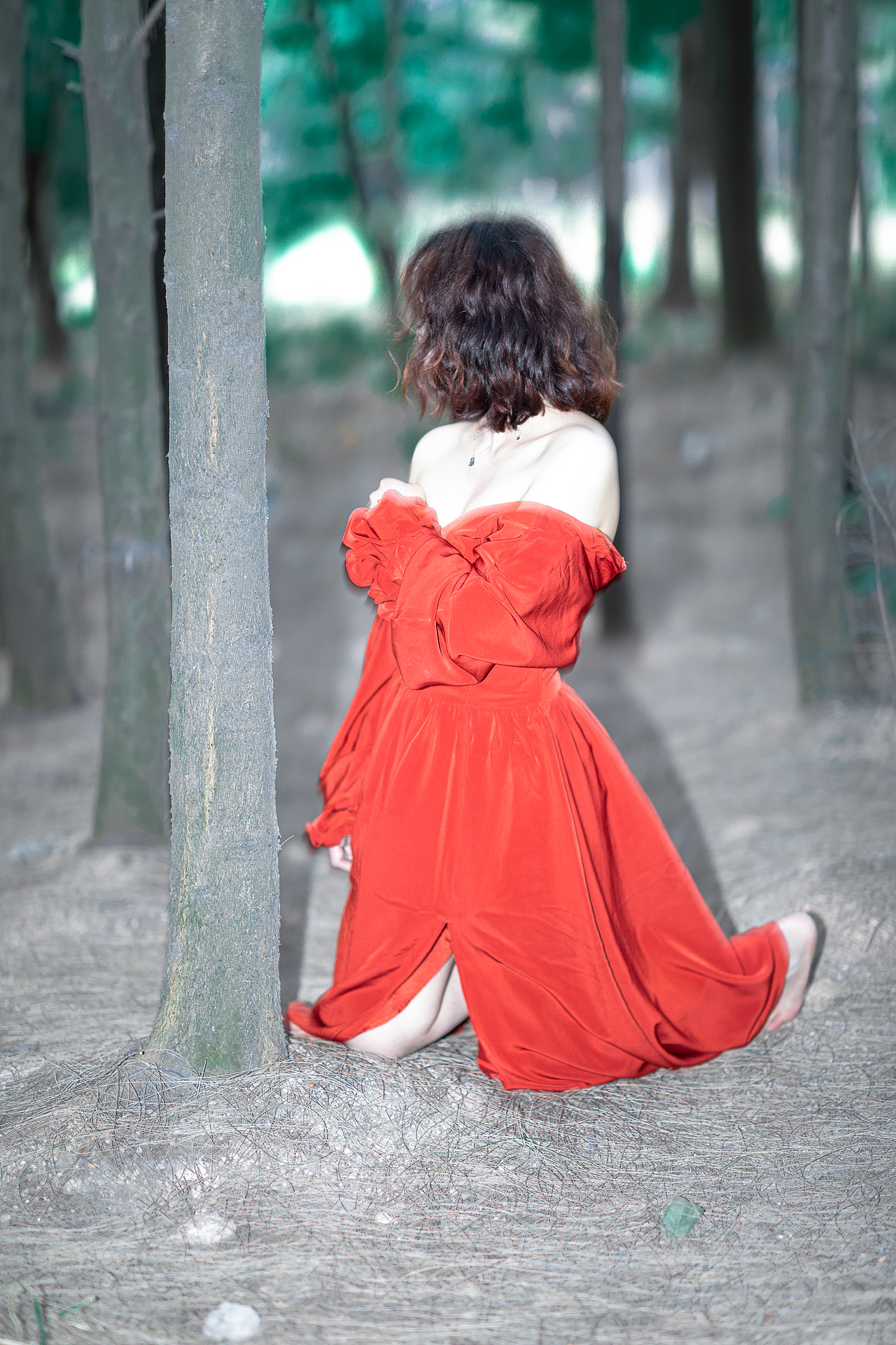 我的2024年度摄影作品总结