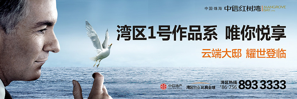 珠海中信红树湾—后来者创意（图ZMzE3NjY3Nzcy） - 品牌 - 站酷设计师后来者传播原创素材 - 站酷ZCOOL
