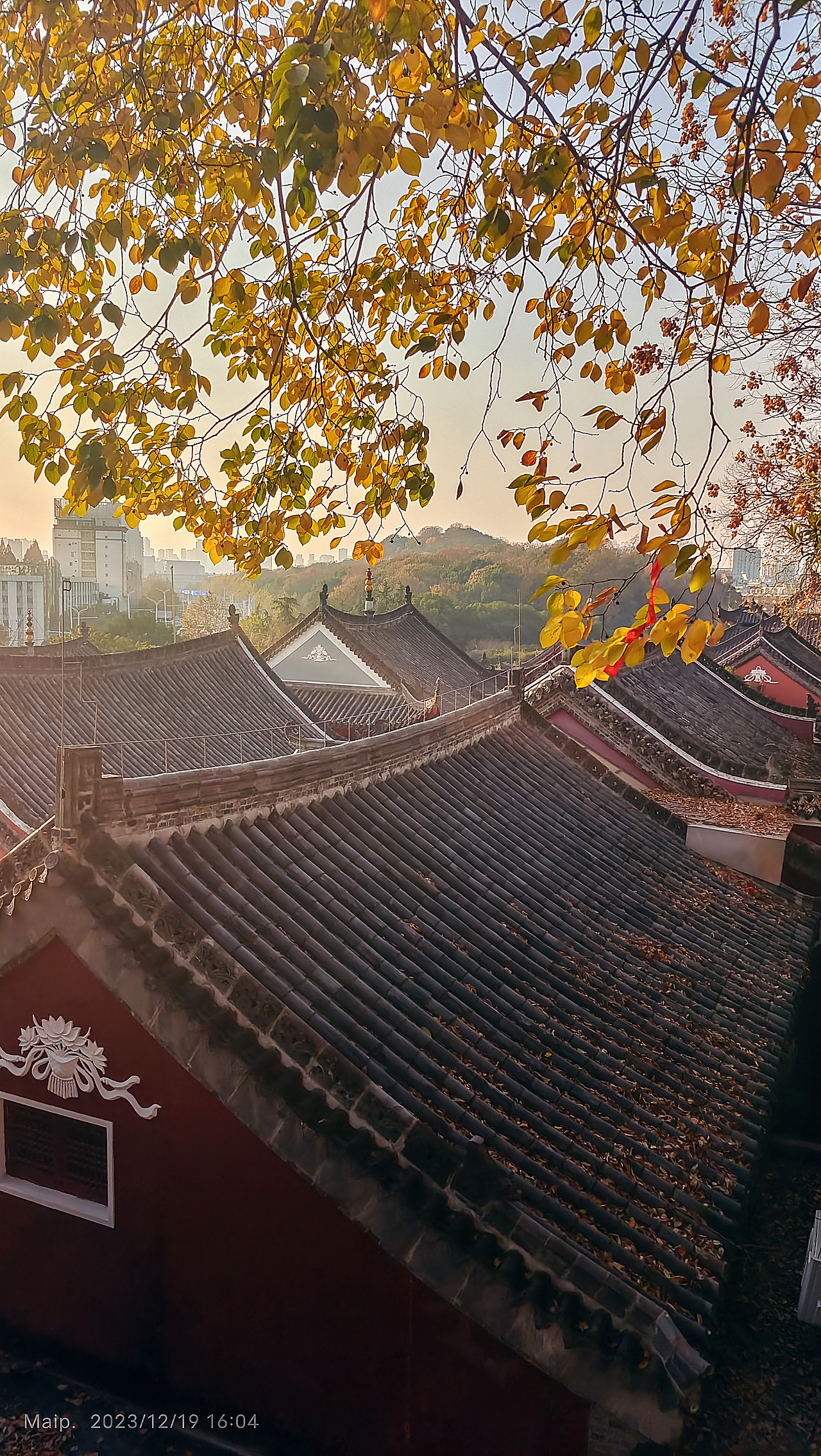 武汉长春观午后