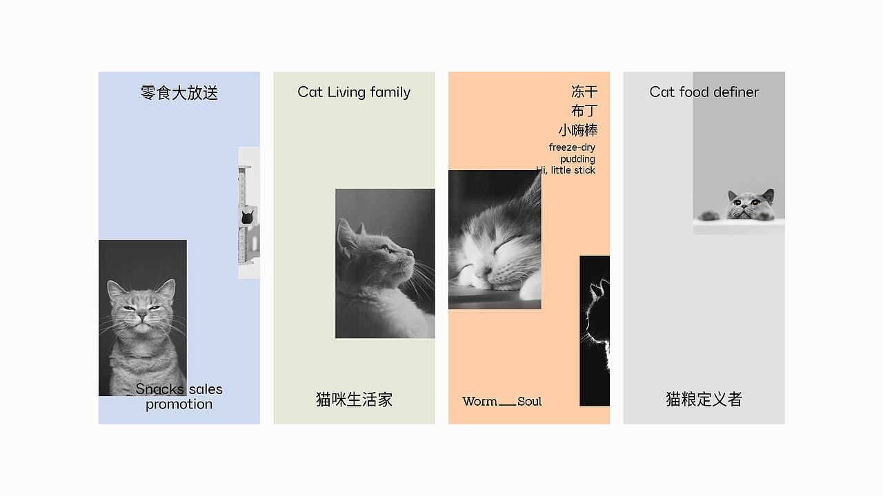 《 暖 》宠物生活方式品牌 — 猫咪生活家