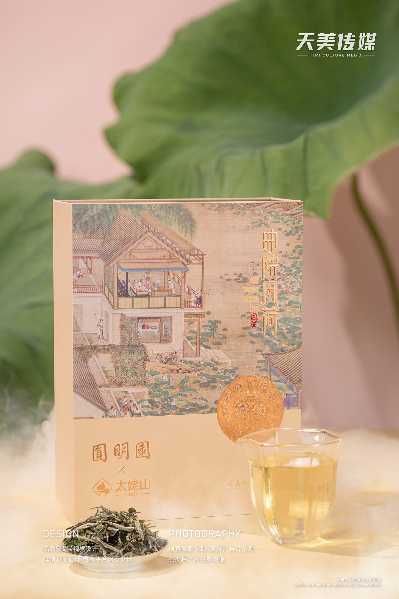 茶叶拍摄 静物拍摄 福鼎白茶拍摄 茶叶视频拍摄 茶产品（图ZMzU2OTg1MzE2） - 产品摄影 - 站酷设计师福鼎天美文化传媒原创素材 - 站酷ZCOOL