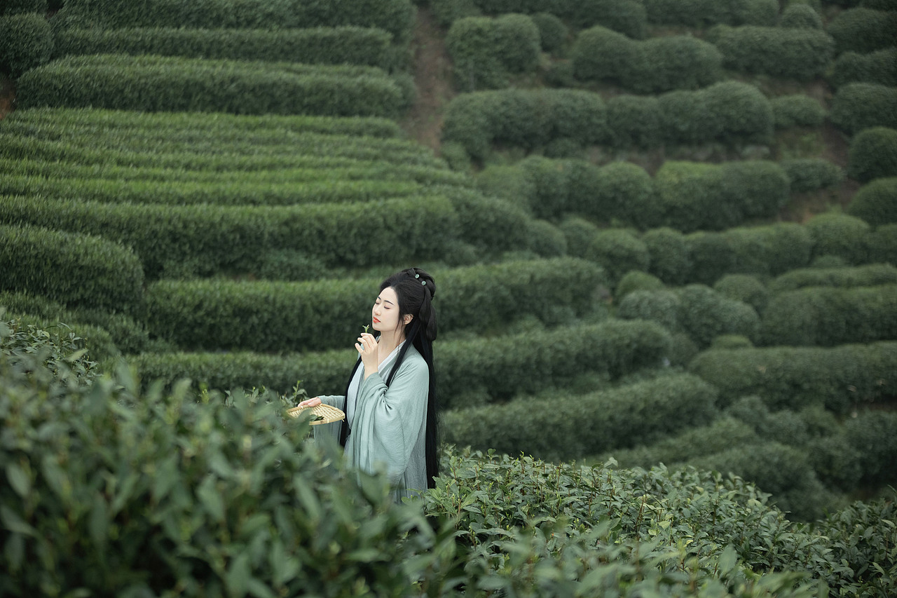 明前绿（图ZMzY5NTMzNjQ4） - 人像摄影 - 站酷设计师若寒Rock原创素材 - 站酷ZCOOL