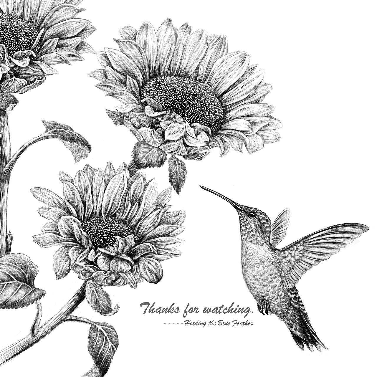 《花与蜂鸟》原创插画