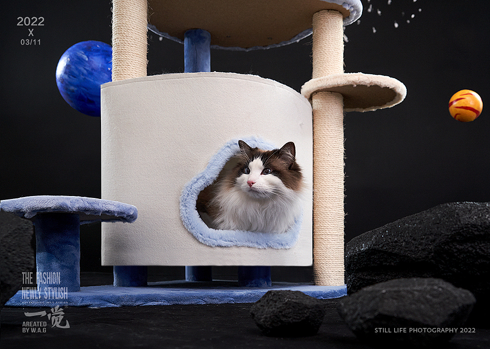 宠物用品拍摄|月兔猫爬架（图ZMzAwNTA4OTMy） - 产品摄影 - 站酷设计师开坦克的小笼包原创素材 - 站酷ZCOOL