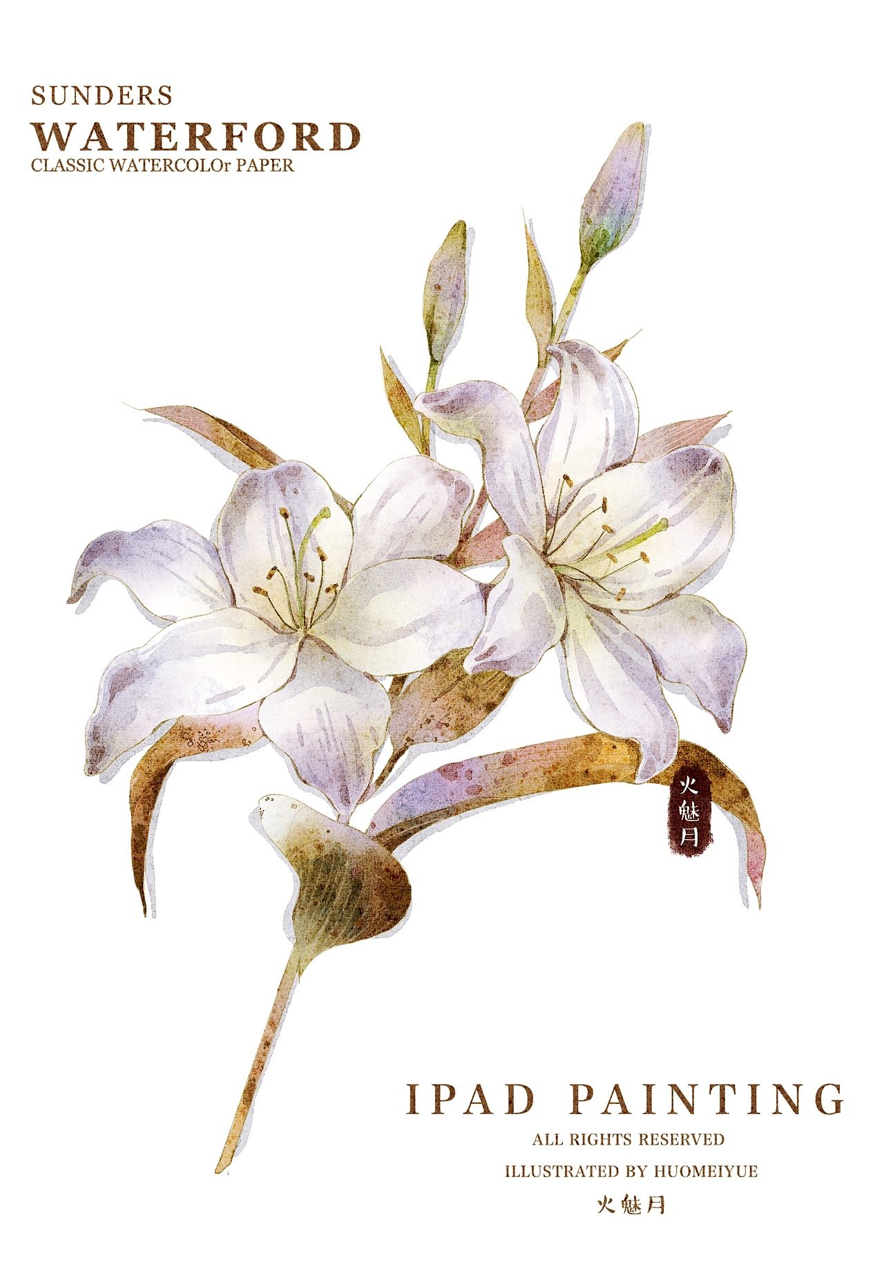 水彩花卉（图ZMzUzOTU4MjAw） - 商业插画 - 站酷设计师火魅月月原创素材 - 站酷ZCOOL