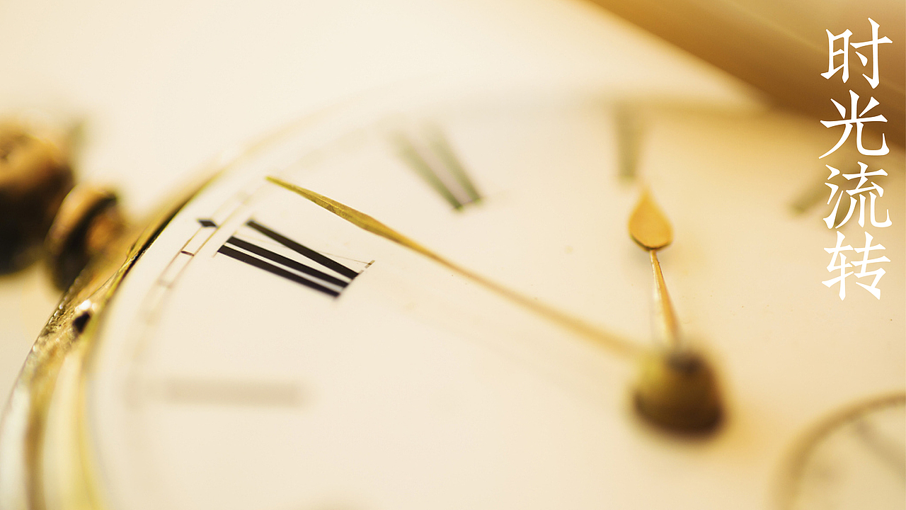 食养百素©️营养食品品牌全案设计