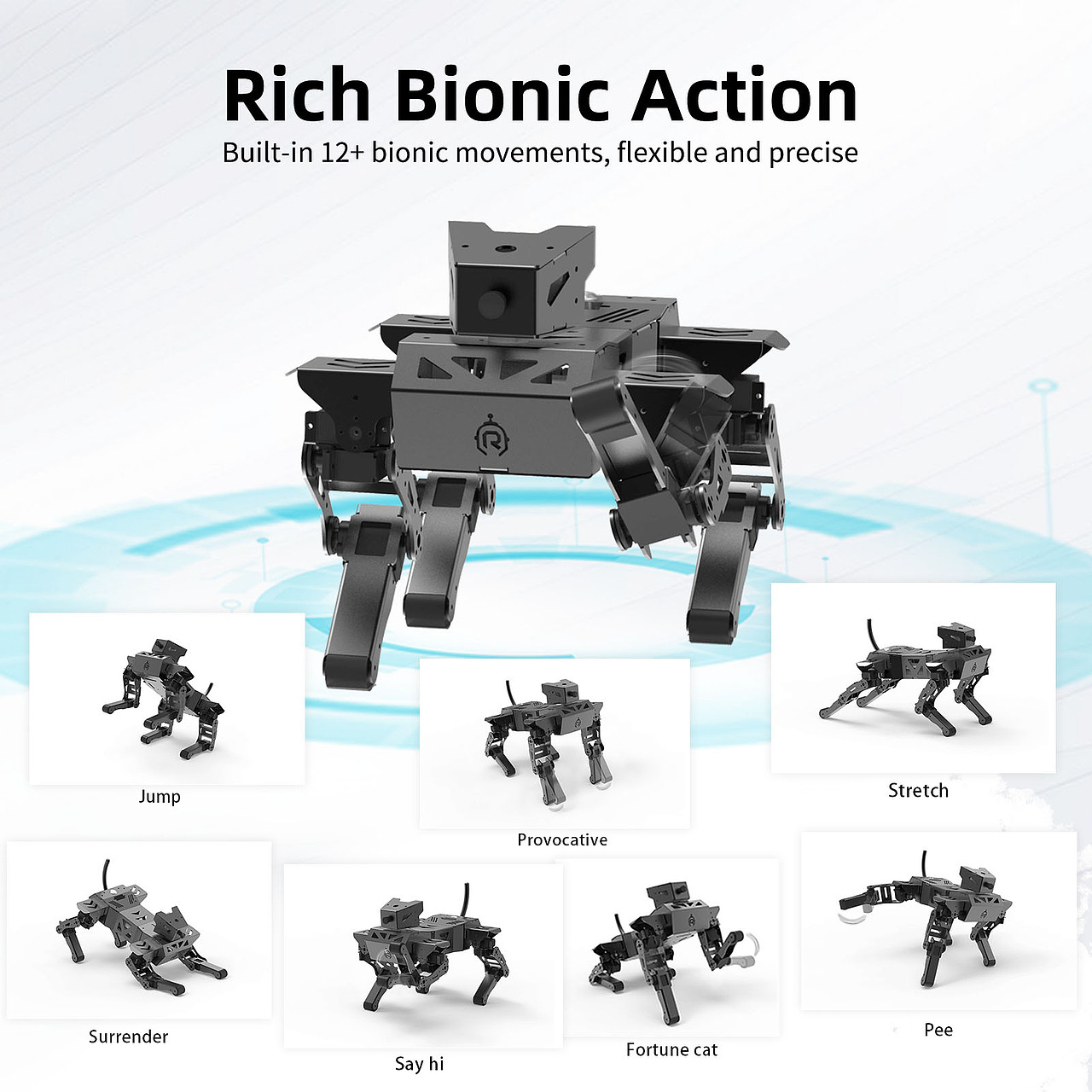 机械狗亚马逊主图 a+图