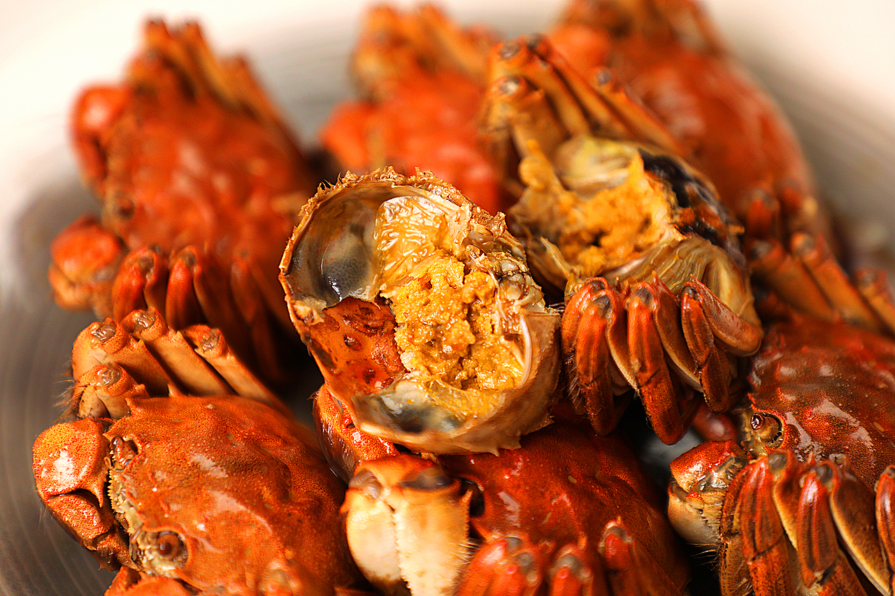 六月黄 花雕熟醉蟹——蕃田出品/陈默工作室