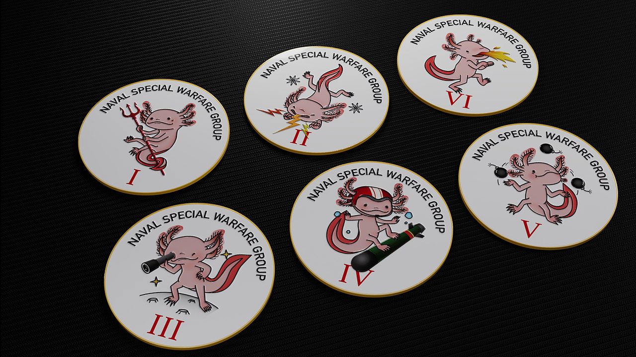 nswg patch 海军特种作战群徽章(架空系)