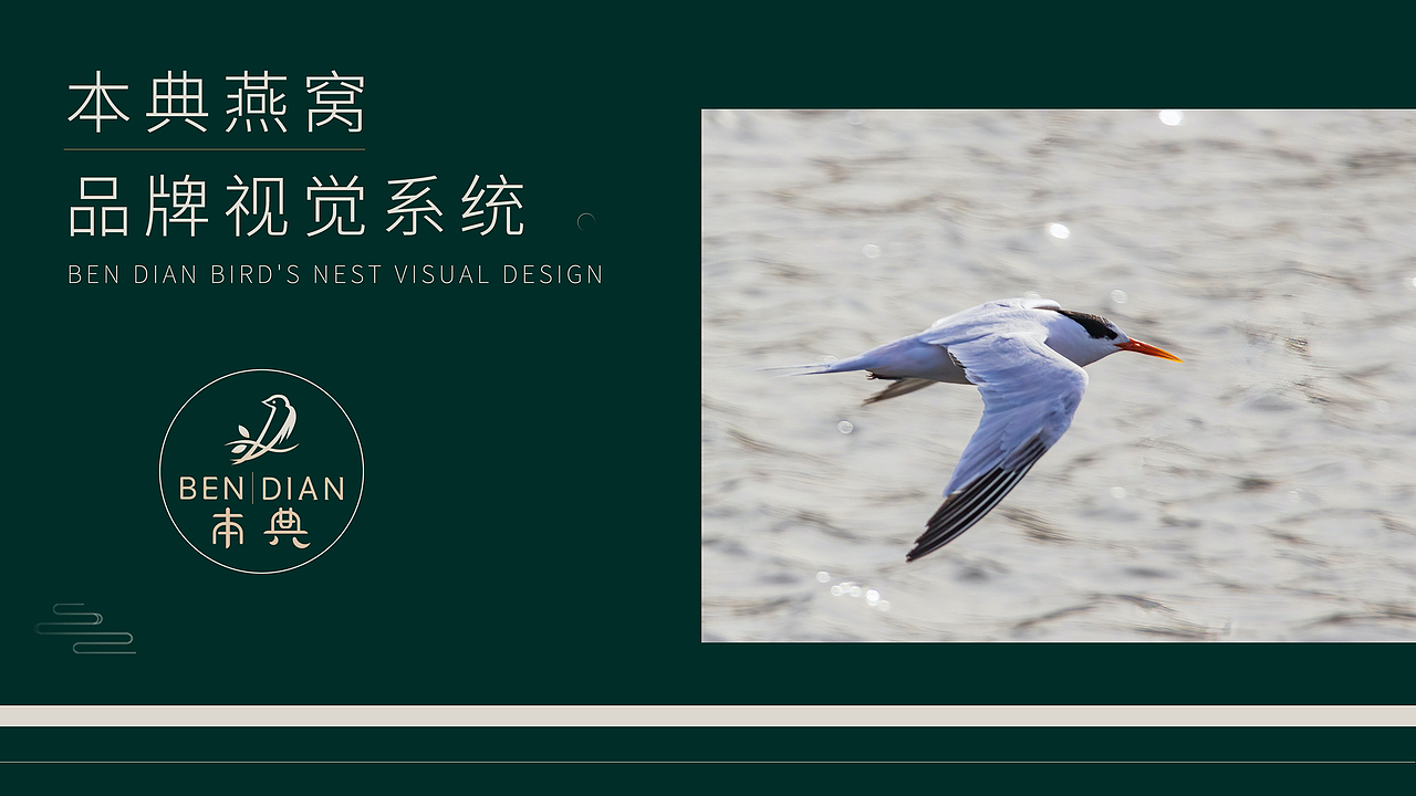 2025品牌设计作品集（图ZMzY1MzU3MzA0） - 品牌 - 站酷设计师设计师鹿夏原创素材 - 站酷ZCOOL