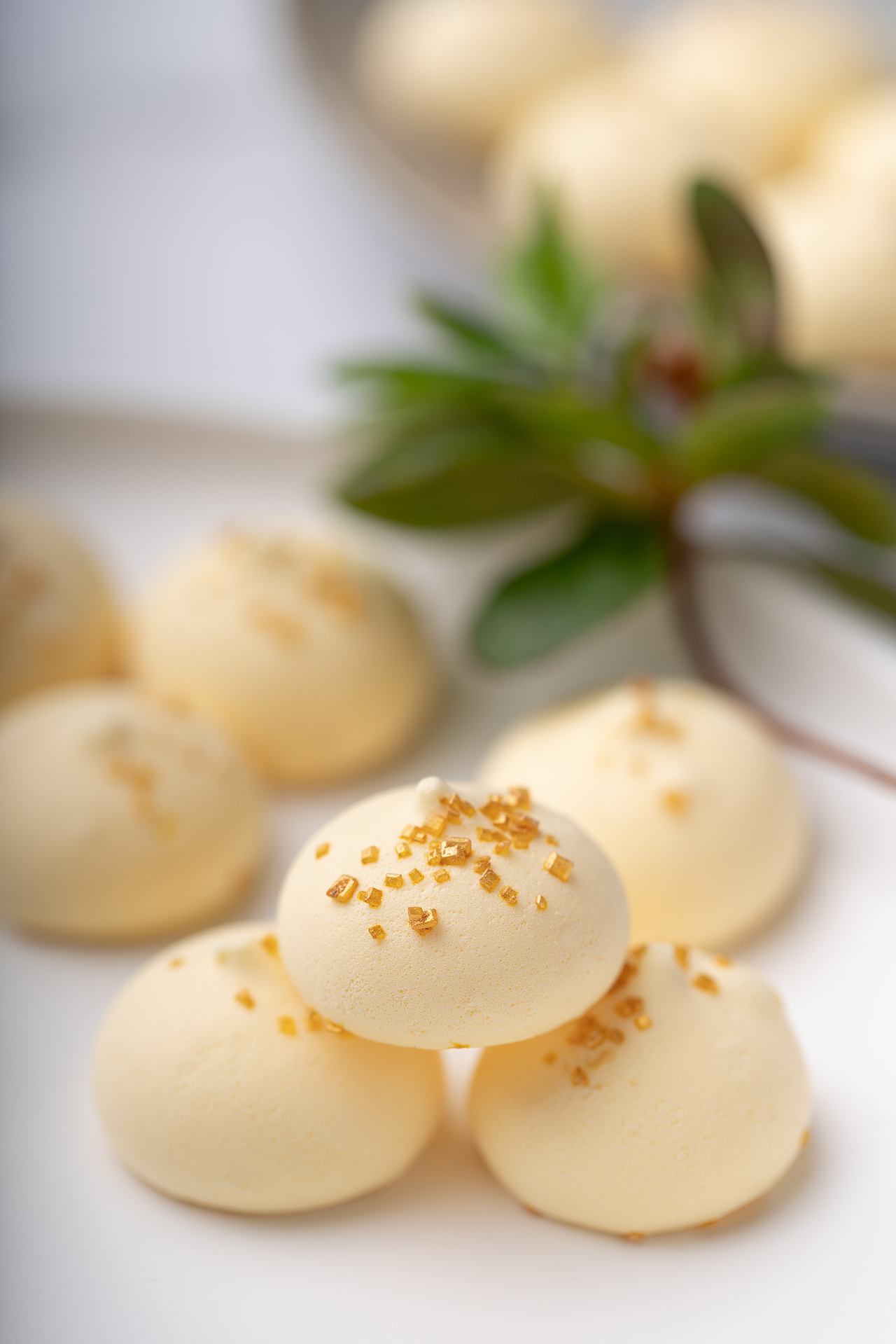 【LanTa蓝塔】小甜品_甜点拍摄