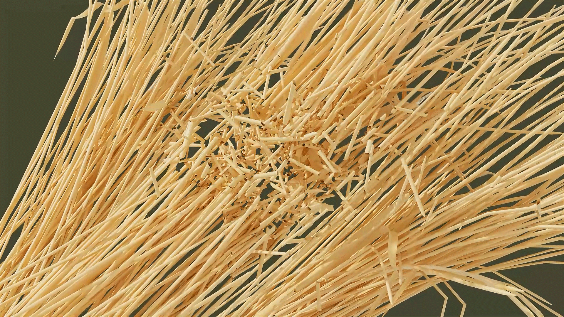 3D产品展示动画【麦秸杆系列】①（图ZMzYxMjY1NjQw） - 产品 - 站酷设计师西贝贝Bessie原创素材 - 站酷ZCOOL