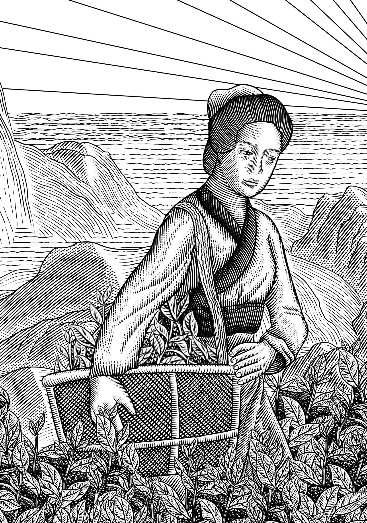 制茶包装插画 | 版画（图ZMzQzNjU1MTQw） - 商业插画 - 站酷设计师Camellia_9786原创素材 - 站酷ZCOOL