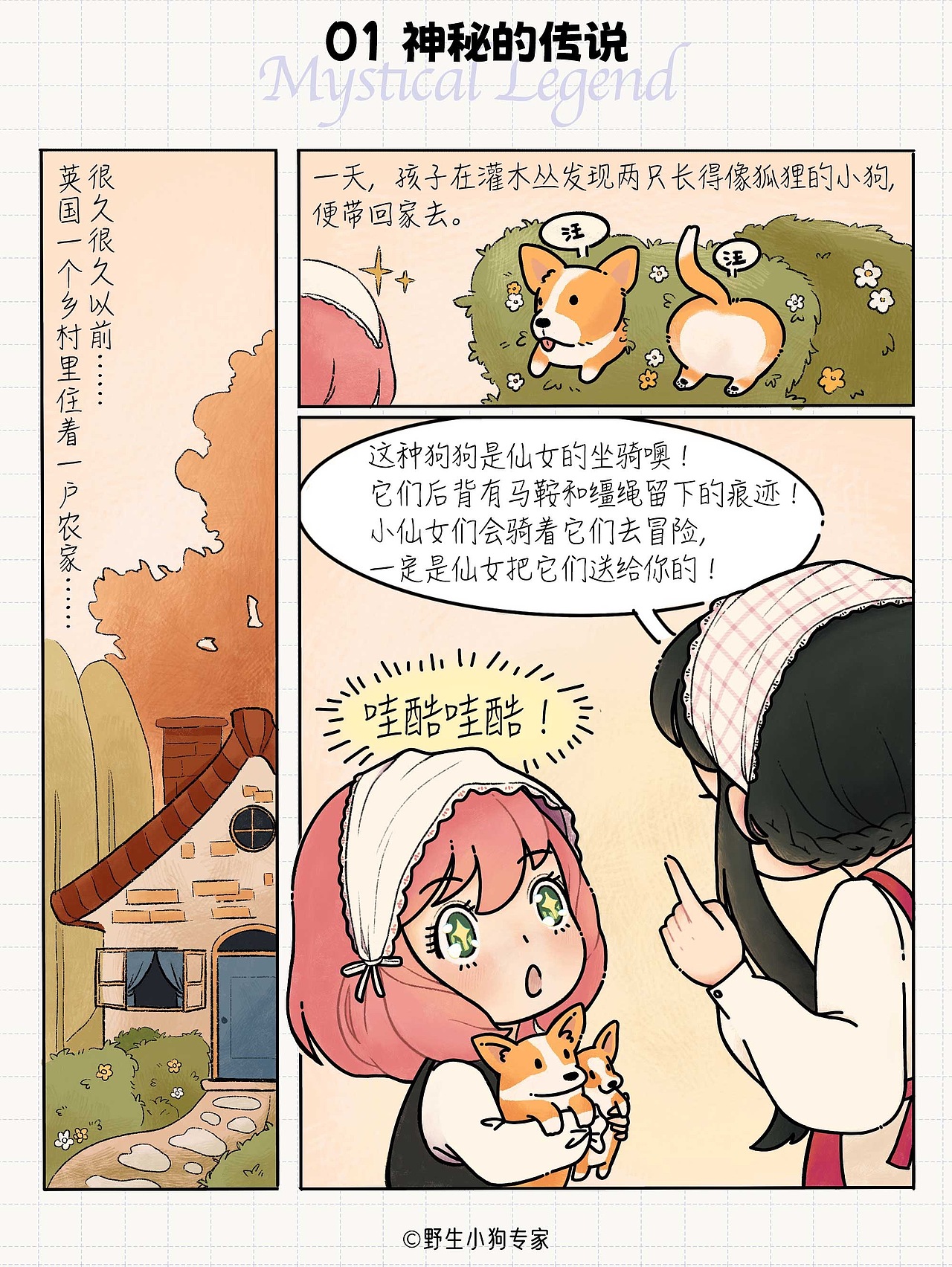 柯基犬小百科：女王与小短腿的故事（图ZMzE3MDc1MDA4） - 短篇/格漫 - 站酷设计师北北北辰beichen原创素材 - 站酷ZCOOL