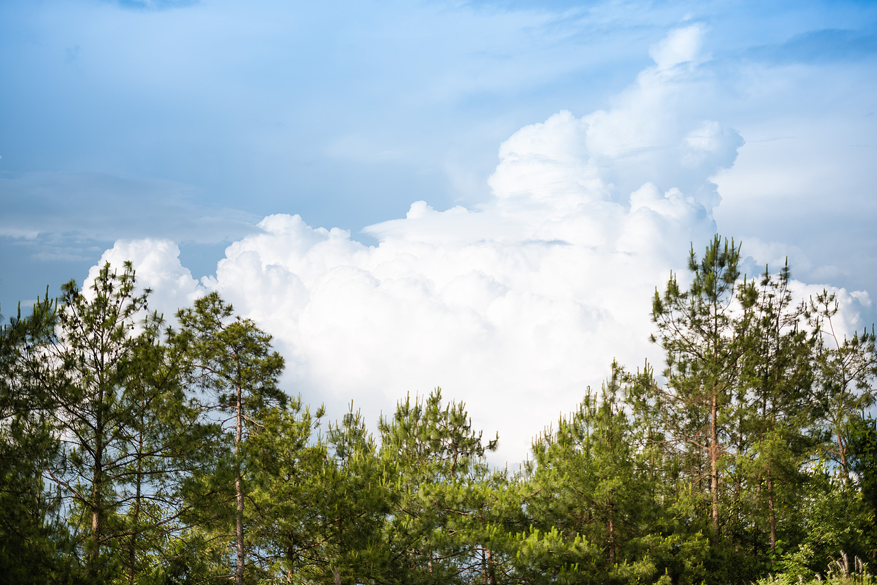 夏天的云（图ZMzA0MzA5MTUy） - 风光摄影 - 站酷设计师MINI黄原创素材 - 站酷ZCOOL