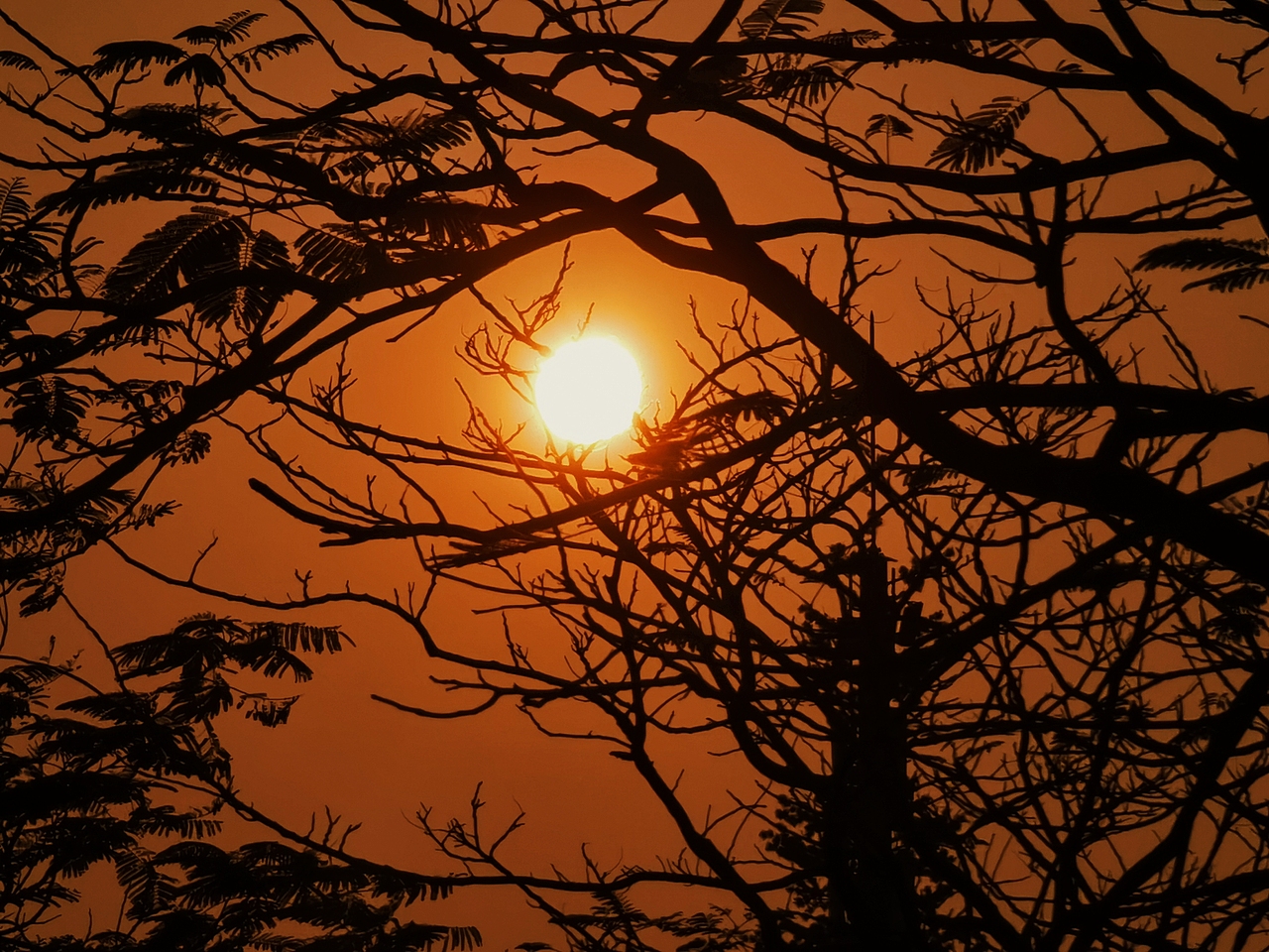 日出日落（图ZMzUyNDY1NDg0） - 风光摄影 - 站酷设计师园游会有缘原创素材 - 站酷ZCOOL