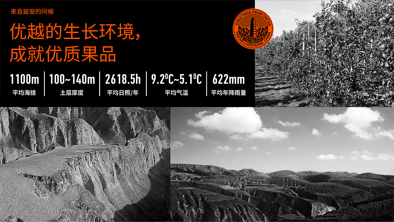 洛川苹果产品包装设计（图ZMzEwODgwMzE2） - 包装 - 站酷设计师云悦品牌设计原创素材 - 站酷ZCOOL