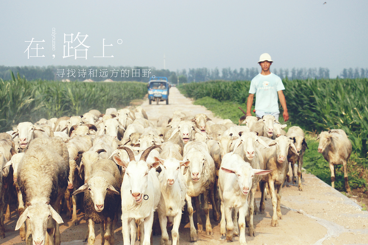 2022，好像拍了，又好像没拍...（图ZMzI1MTgwMTg4） - 其他摄影 - 站酷设计师诗云品牌原创素材 - 站酷ZCOOL