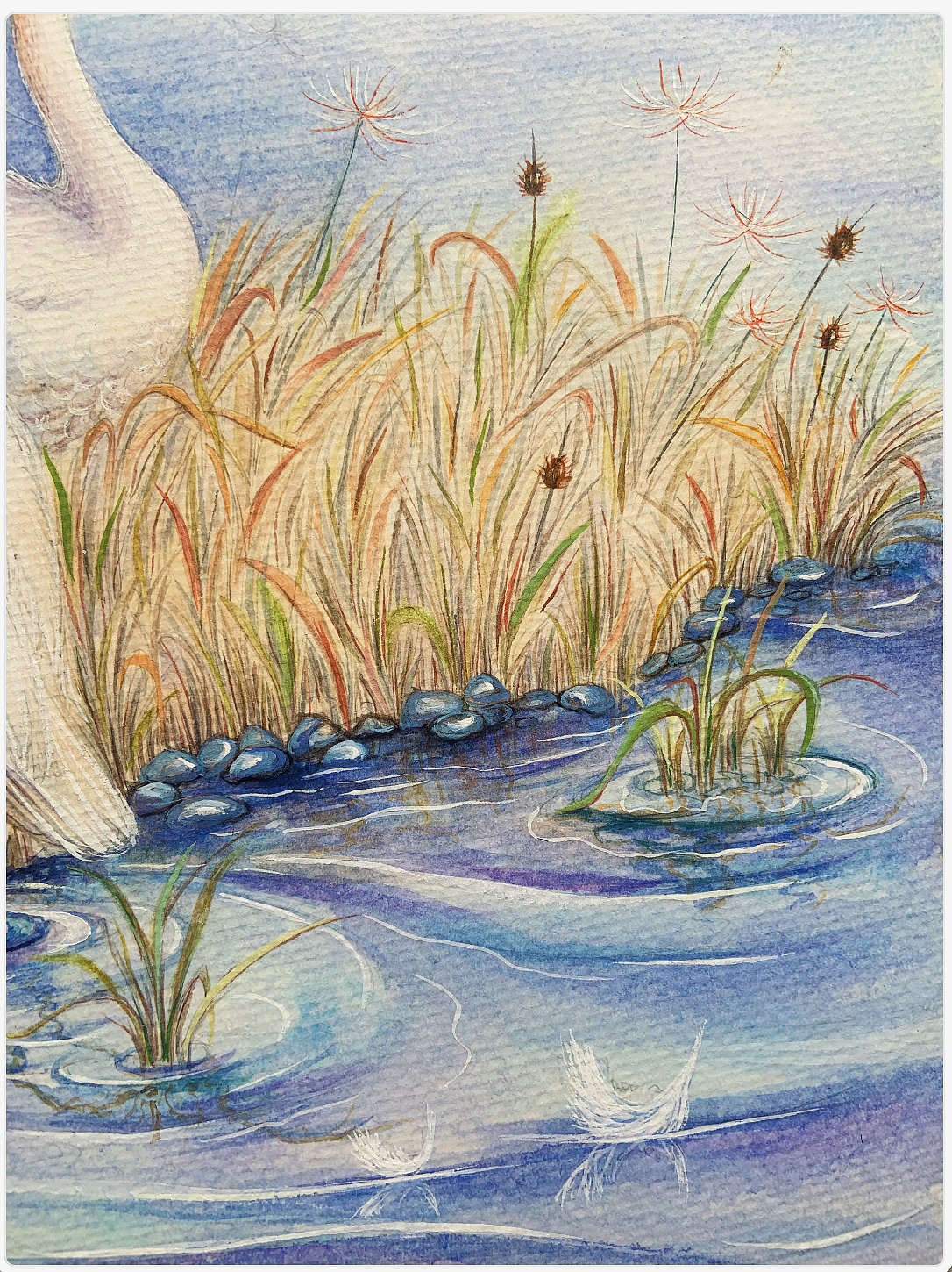 水彩 天鹅湖（图ZMzMyMjAyMjY4） - 创作习作 - 站酷设计师吹暖风的猫原创素材 - 站酷ZCOOL