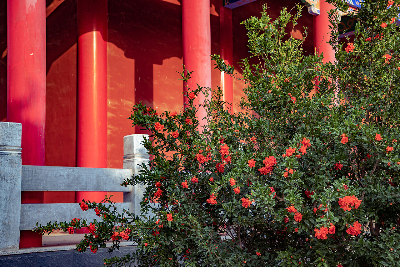 魏县普渡禅寺（图ZMzAzNTM5NDc2） - 其他摄影 - 站酷设计师pear1103原创素材 - 站酷ZCOOL