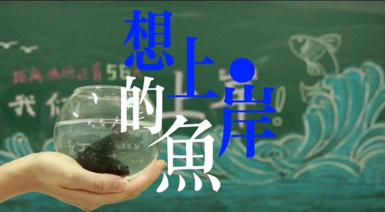 想上岸的魚（圖ZMzcwNjEwMjMy） - 短片 - 站酷設(shè)計(jì)師裕潯原創(chuàng)素材 - 站酷ZCOOL