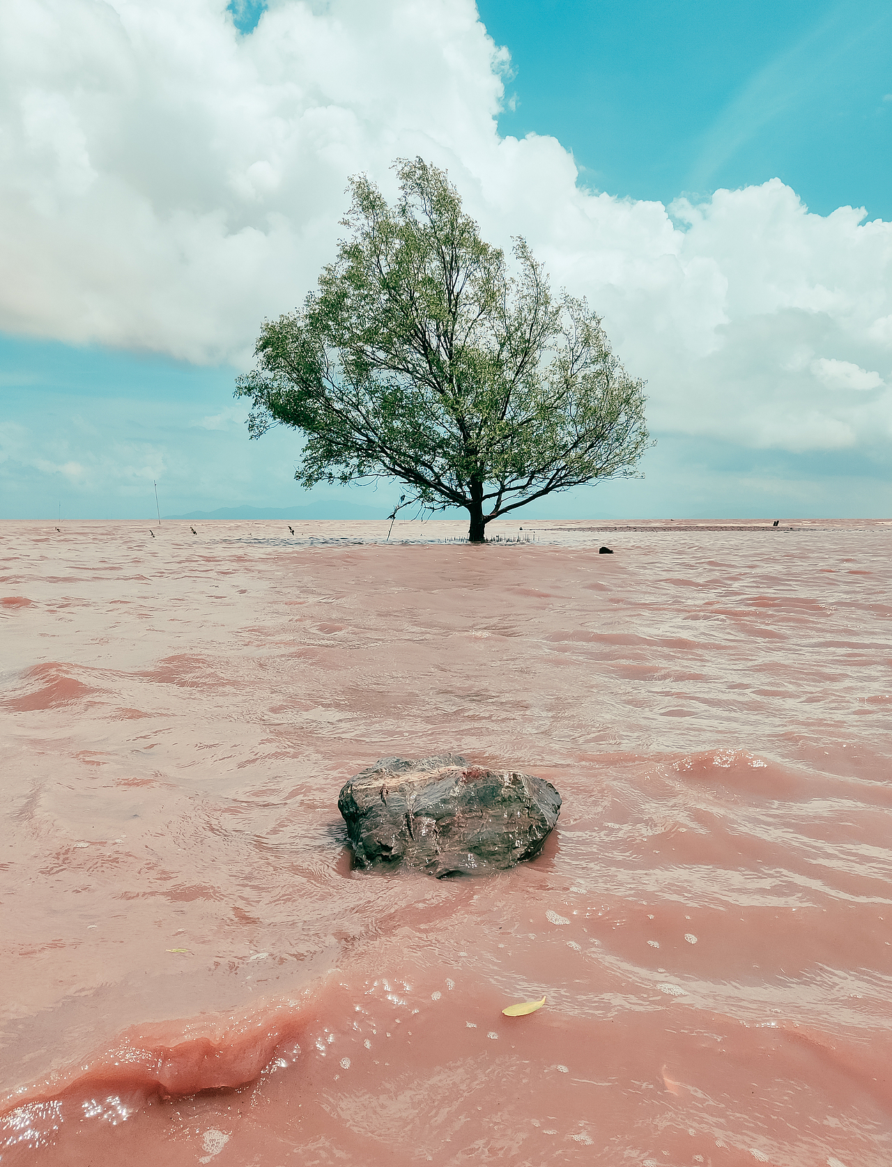 海岛之美 【手机摄影】