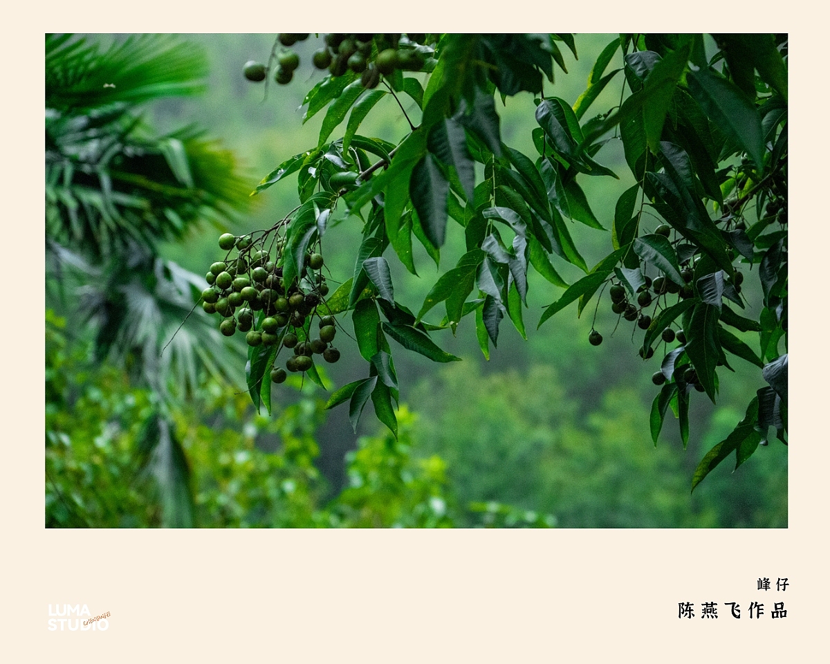 解密~收1万5的纪实摄影怎么创作出来的?杭州美食摄影