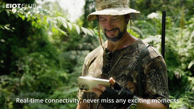 物理网卡 | 电商视频（带企宣片风格）