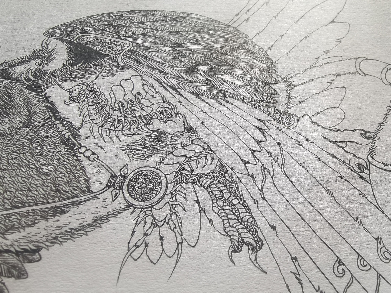 2024.03.10毣柞山海-北山经-虢山-寓鸟