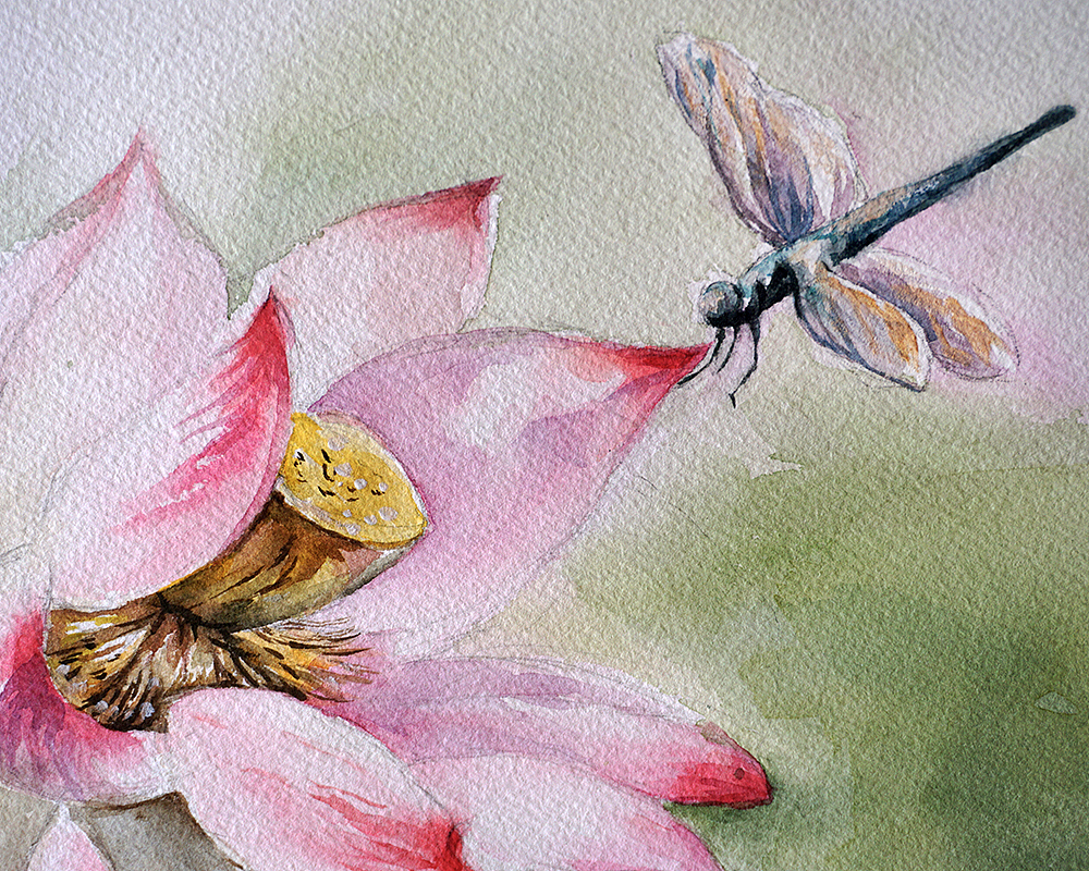 夏日水彩绘画写生记录,七月再见,八月你好!