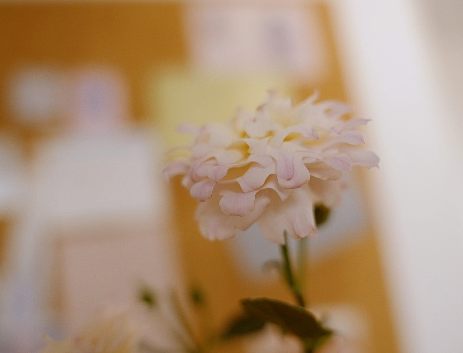 All of my life is you