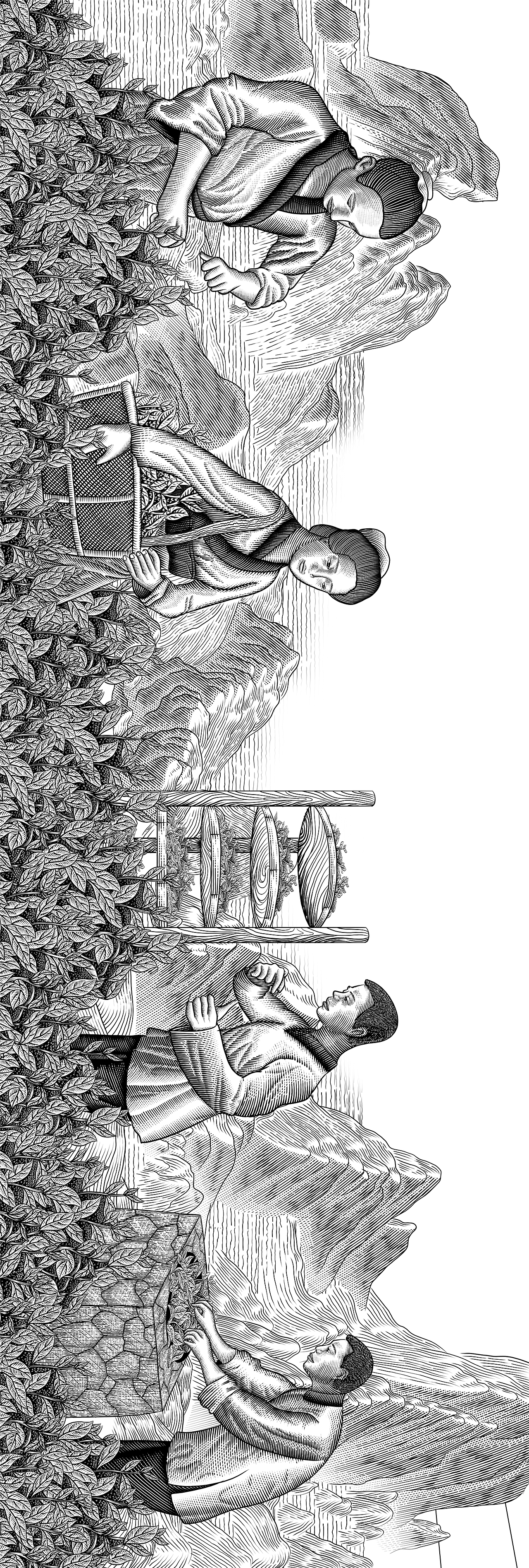 制茶包装插画 | 版画（图ZMzQzNjU1MTI0） - 商业插画 - 站酷设计师Camellia_9786原创素材 - 站酷ZCOOL