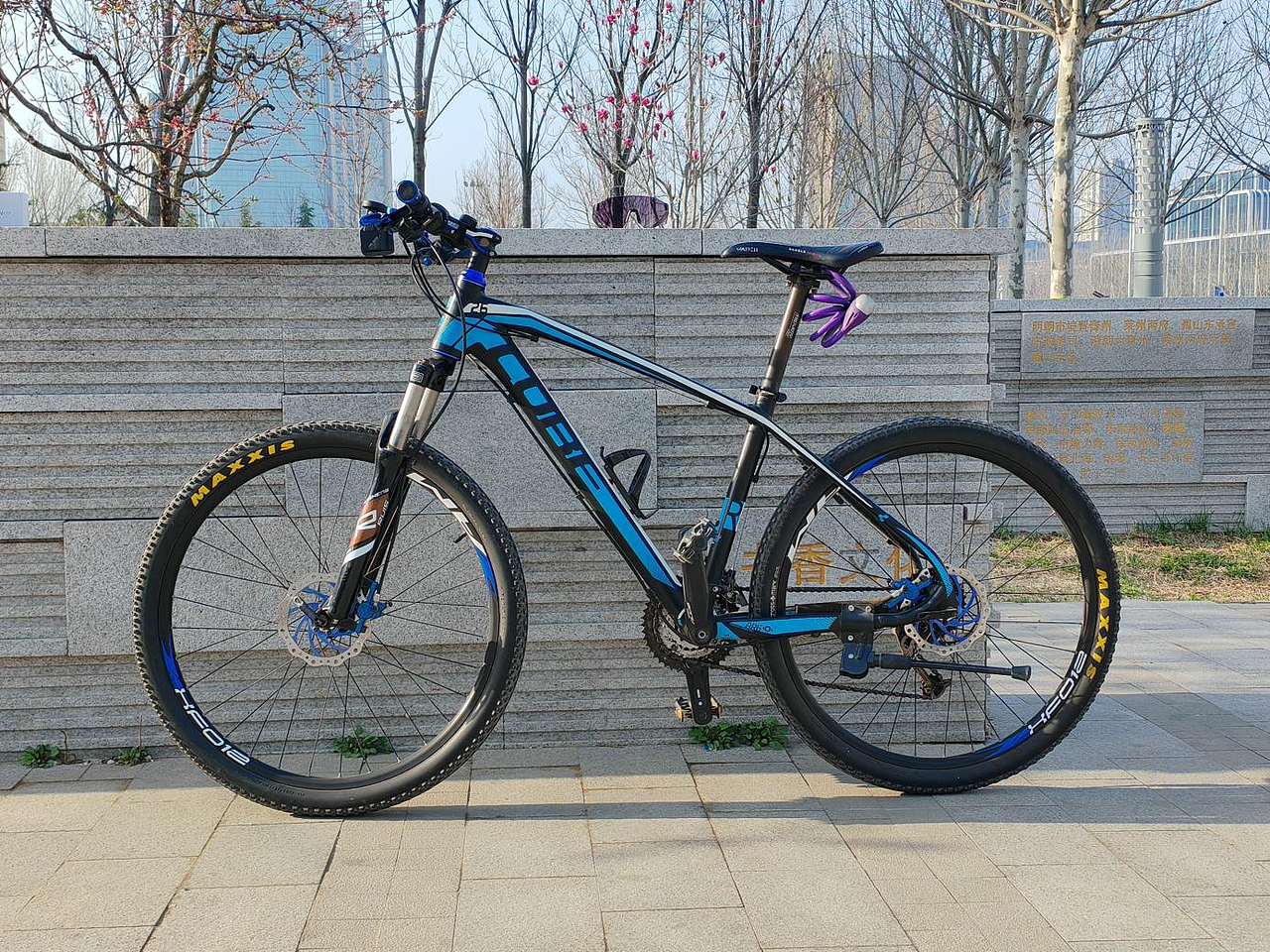 迈极炫破风者变色骑行眼镜WB003B变色款