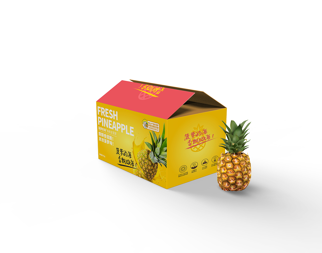 正本设计|菠萝的海 产品包装设计