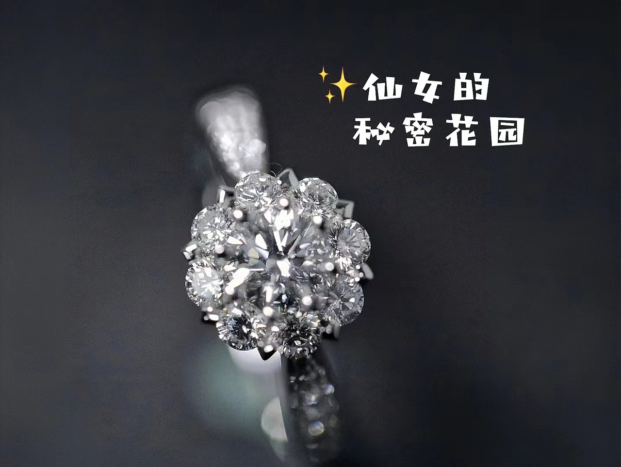 30分的钻戒也可以又大又闪 | 仙女的秘密花园