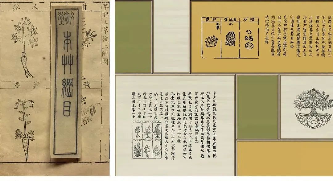 無象空间 | 成都知嘛健康:古法新生