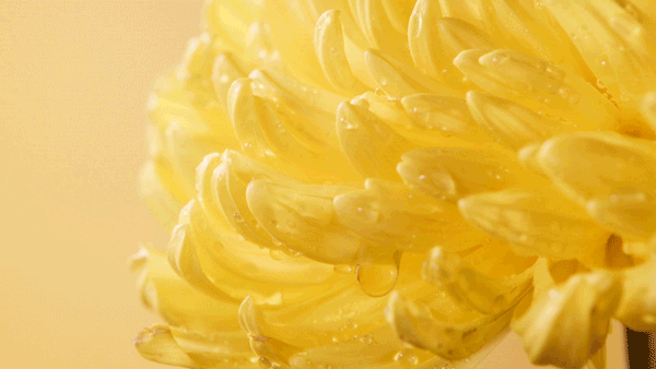 零食视频 | 甘源食品 ✖ INLIGHT光合 电商视频（图ZMjk2NzMxMzI0） - 美食摄影 - 站酷设计师INLIGHT光合原创素材 - 站酷ZCOOL