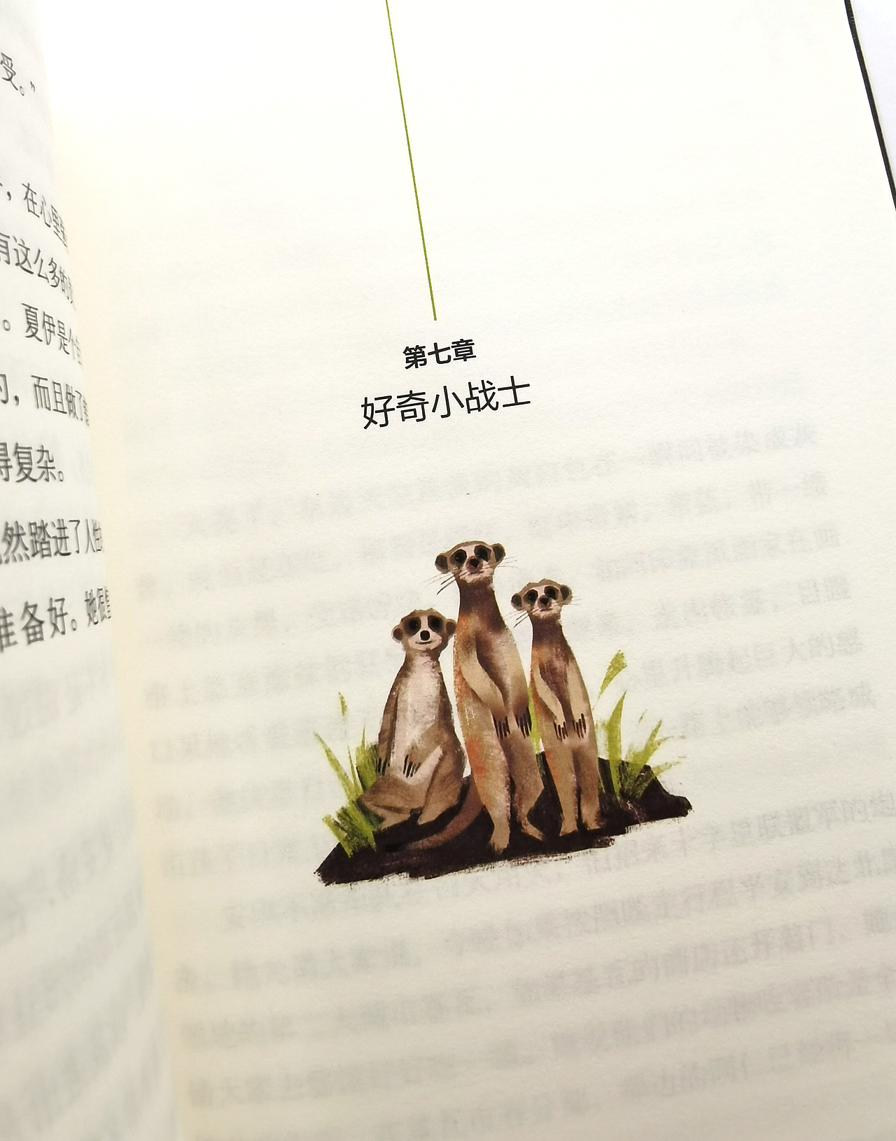 《黎明动物园》-插画