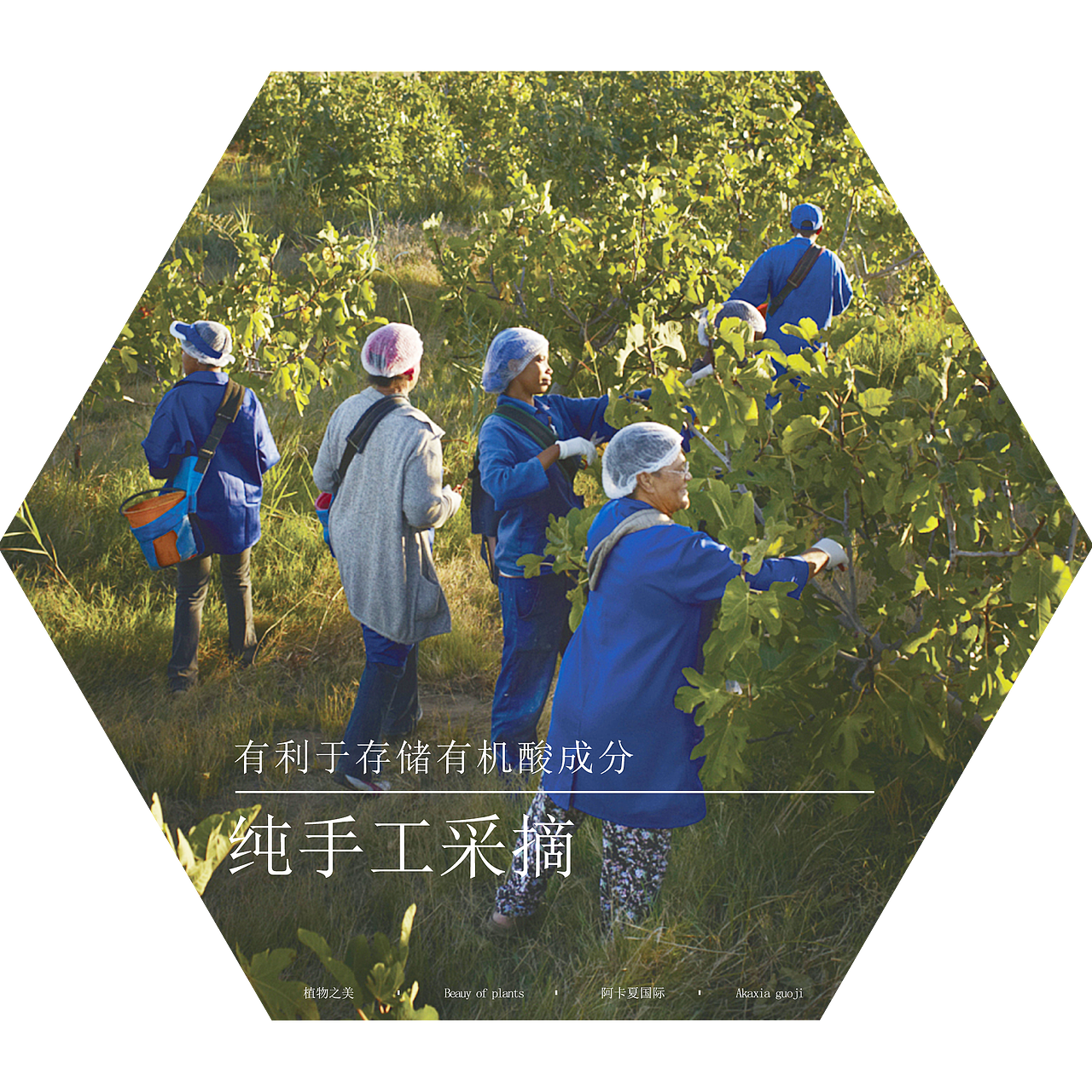 海报（图ZMzQ0NDU3MjMy） - Logo - 站酷设计师888xiao00原创素材 - 站酷ZCOOL