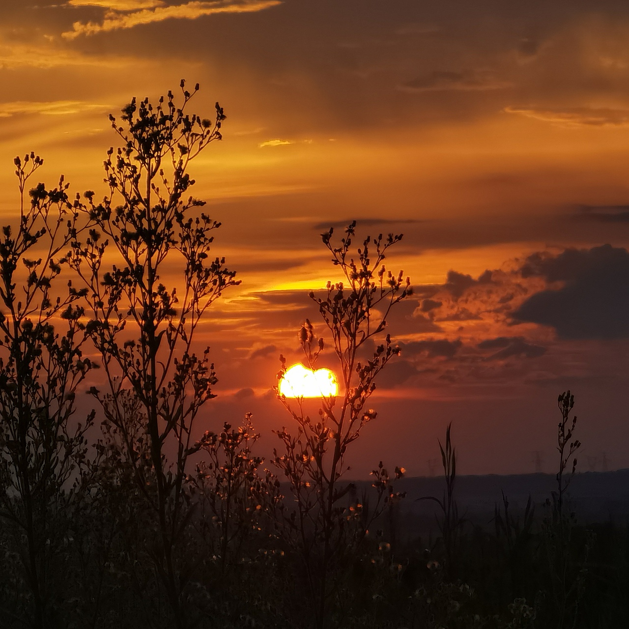 夏日浪漫｜晚霞打卡｜日常手機(jī)記錄（圖ZMzA5NjYyNjA0） - 風(fēng)光攝影 - 站酷設(shè)計(jì)師陳大奔原創(chuàng)素材 - 站酷ZCOOL