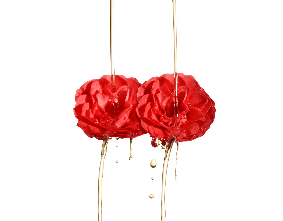 护肤品摄影『嘉利玛山茶花精华油』X FJX VISION