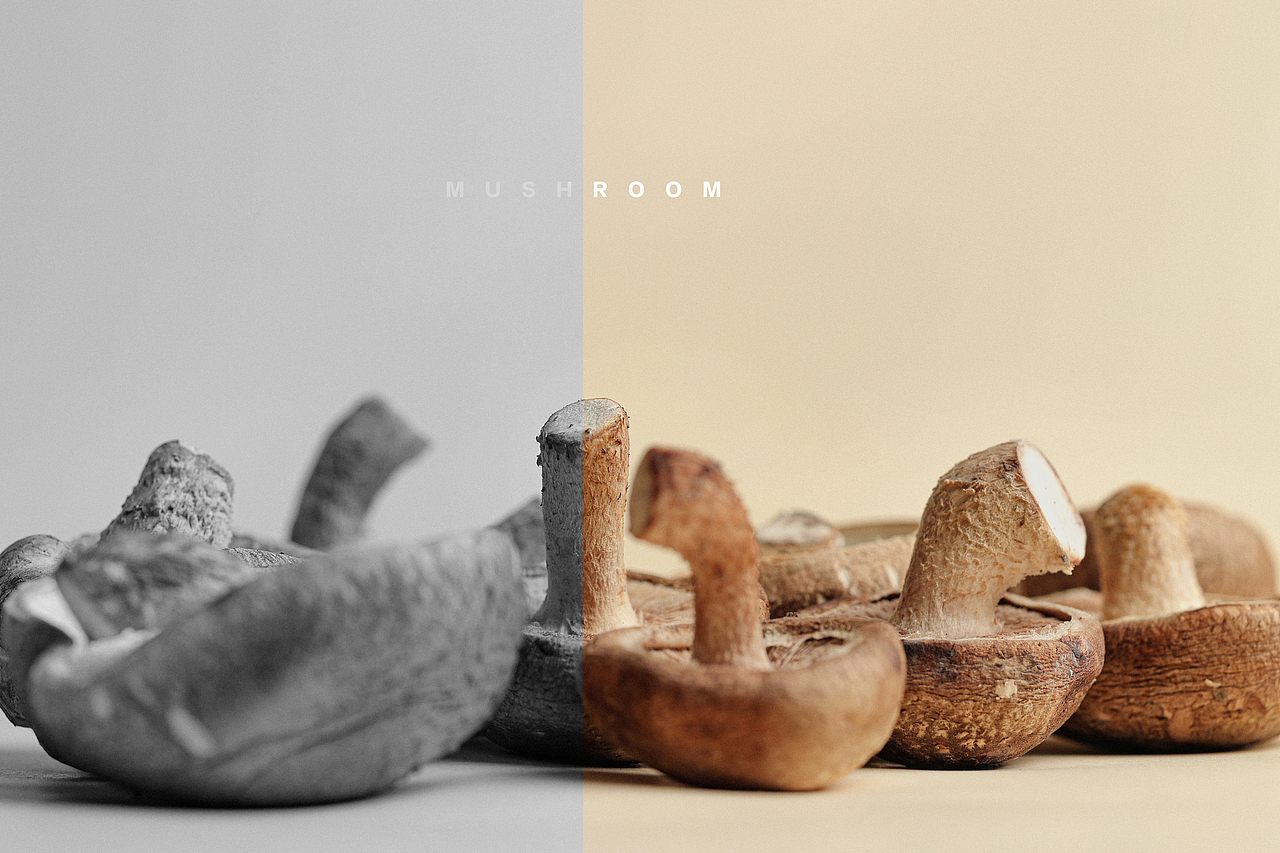 香菇在绽放美丽的瞬间