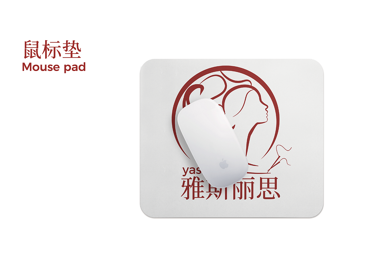 雅斯丽思VI手册