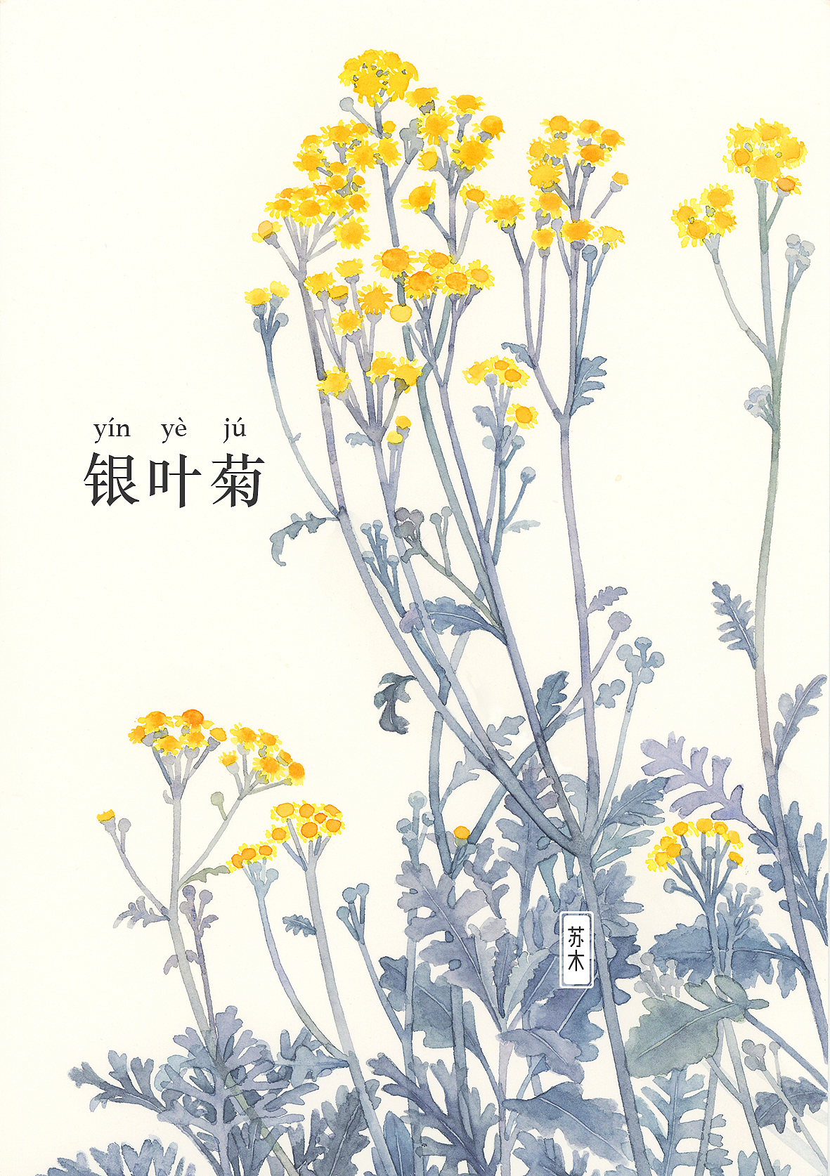 花·图鉴 「一」（图ZMzA4MzE4MjYw） - 商业插画 - 站酷设计师苏木_Summer原创素材 - 站酷ZCOOL
