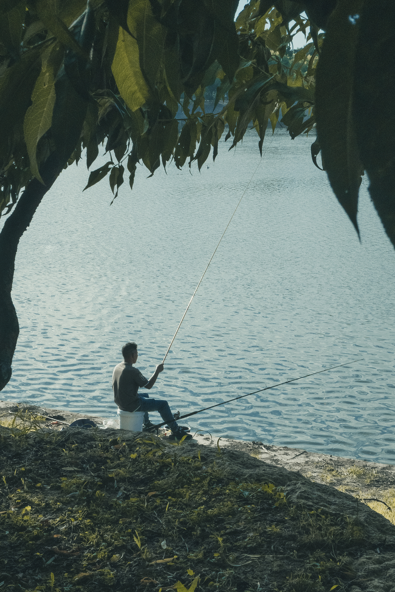 周末（图ZMzEzNDI4ODgw） - 风光摄影 - 站酷设计师非鱼子鹿原创素材 - 站酷ZCOOL