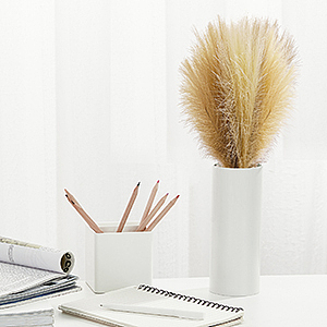 潘帕斯草 亚马逊