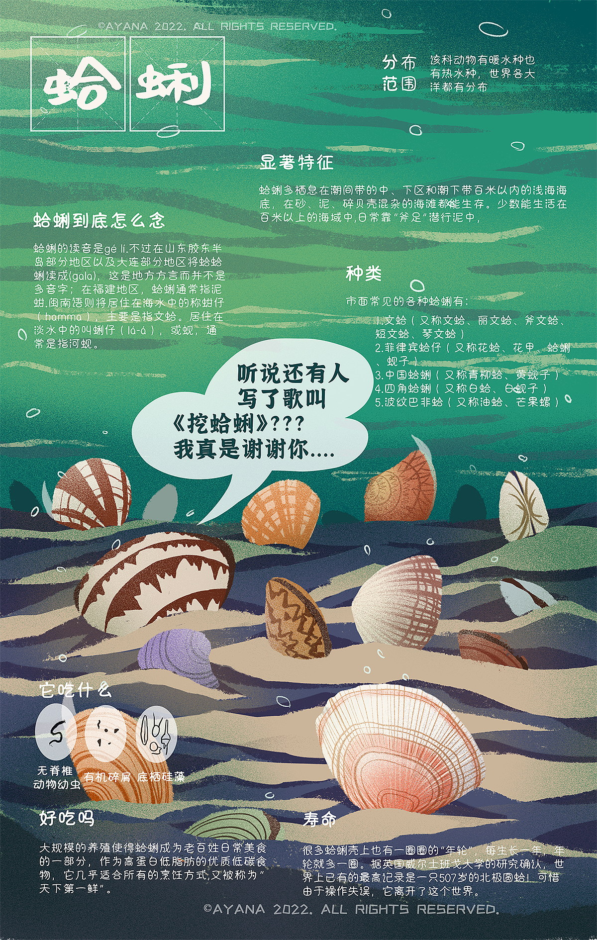 赶海常见生物科普插画( 猫眼螺/寄居蟹/蛤蜊/河豚.