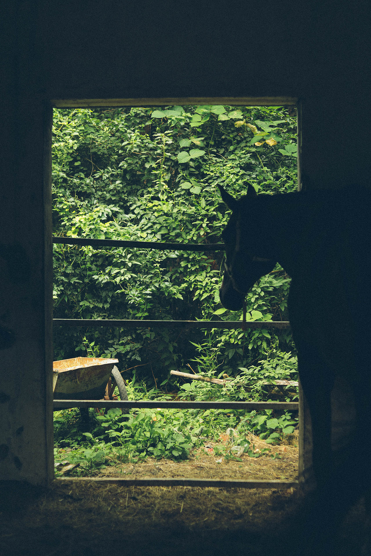 Summer Vibe（图ZMzQzMTg5NTM2） - 人文/纪实摄影 - 站酷设计师木里MULI原创素材 - 站酷ZCOOL