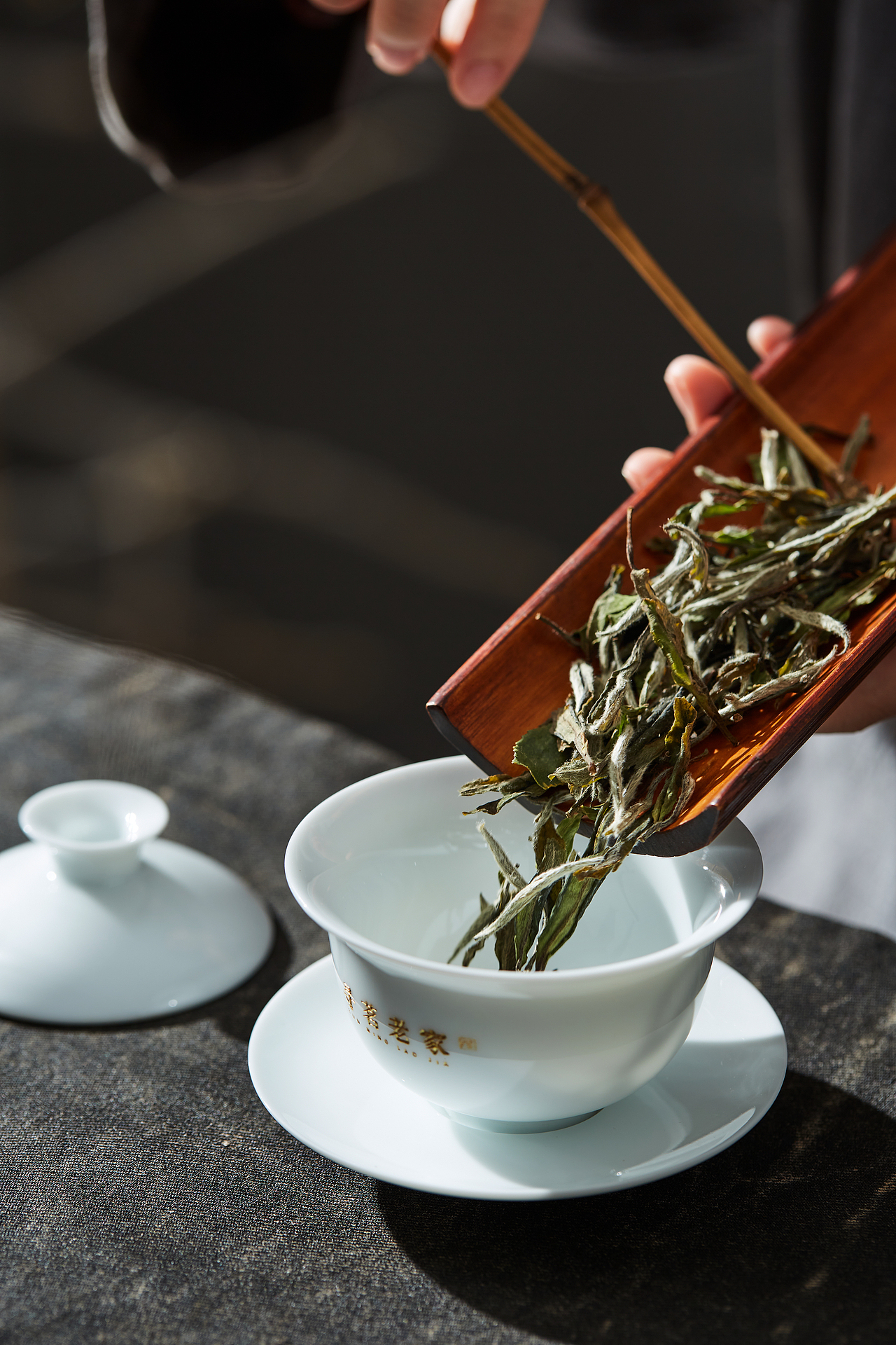 寻茗老家福鼎白茶—禅茶牡丹（图ZMzA5ODQzNDQw） - 产品摄影 - 站酷设计师福鼎美图商业摄影原创素材 - 站酷ZCOOL